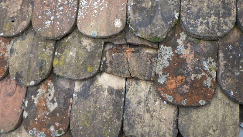anciennes tuiles plates alsacienne cassées